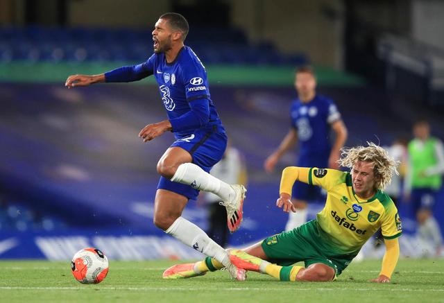 池周围植物 池周围植物